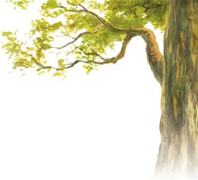 �Ř� ���˸���(y��n)��ı��o(h��)