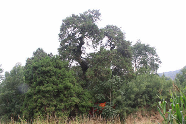 ��۰ر��o(h��)���Թ��̌��}��һ��